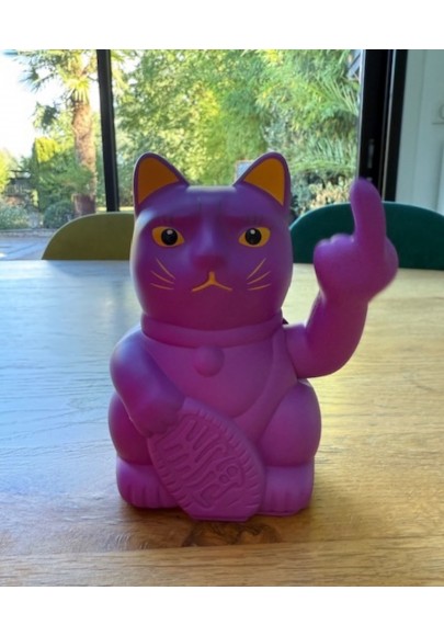 Chat qui fait fuck violet