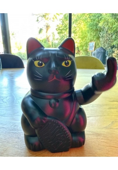 Chat qui fait fuck Noir